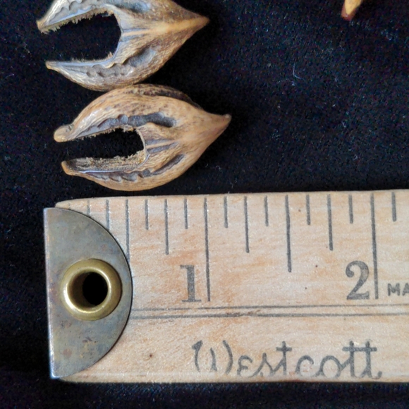 Wood/Nut Earrings - Picture 5 of 5